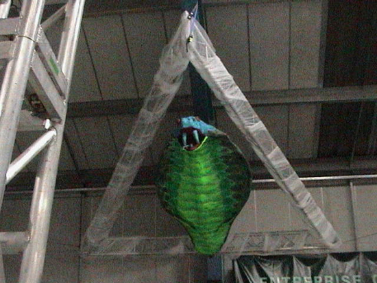 DSC00001001 (2)